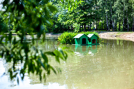Плавучие домики для уток сделали на пруду в Химках