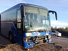 На московской трассе под Волгоградом лось «подрезал» рейсовый автобус