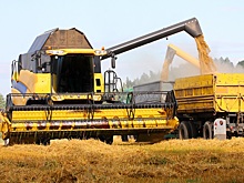 Аналитики повысили оценку сбора зерна в РФ почти на 5 млн тонн