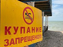На Дону с начала купального сезона на воде погибло 28 человек