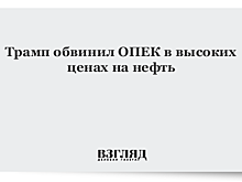 Трамп вновь раскритиковал ОПЕК за высокие цены на нефть