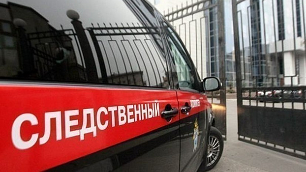 В Крыму начали проверку по факту гибели пятилетней девочки, оставленной в автомобиле