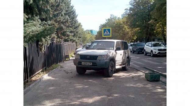 На ул. Гагарина инвалид пренебрег правилами парковки