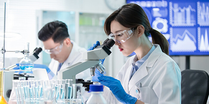 Прозрачный бамбук для строительных работ создали в Китае