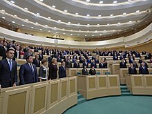В Совфеде обсудят использование темы экологии как попытку вмешательства