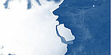 Самый крупный за 50 лет айсберг откололся в Антарктиде
