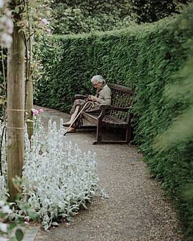 Раскрыто условие гарантированной деменции