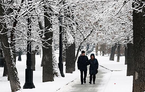 Температурные качели: Вильфанд сделал прогноз о зиме