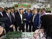 Армавирские производители представляют свою продукцию на «Кубанской ярмарке»