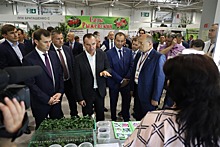 Армавирские производители представляют свою продукцию на «Кубанской ярмарке»