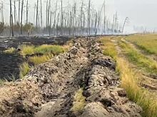 В Якутске всё труднее дышать из-за лесных пожаров