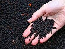 Назван идеальный момент для добавления черного перца в блюдо