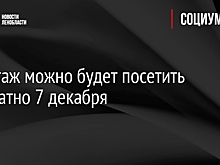 Эрмитаж можно будет посетить бесплатно 7 декабря