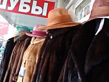 ФНС объяснила "чипирование" шуб