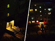 Силовики провели штурм дома в Первоуральске, житель которого угрожал взорвать гранату