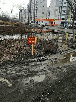 Лужи Котовой и колдобины Тефтелева: челябинцы установили на дорогах предупреждающие знаки