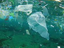 Учёные бьют тревогу: пластик стал опаснее из-за изменения климата