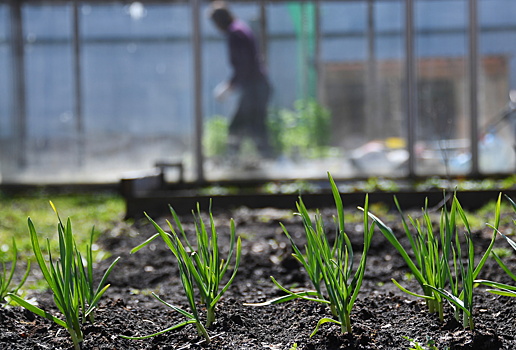 Как выжить на даче: 5 важных правил