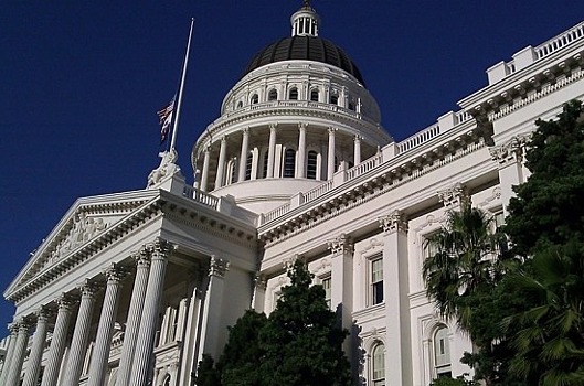 Трамп потребовал запретить мусульманкам из конгресса США посещать Палестину