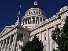 Трамп потребовал запретить мусульманкам из конгресса США посещать Палестину