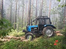 В Красноярском крае новую технику получили 12 лесничеств