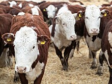 “Инвест-Регион” от 29.06.2020