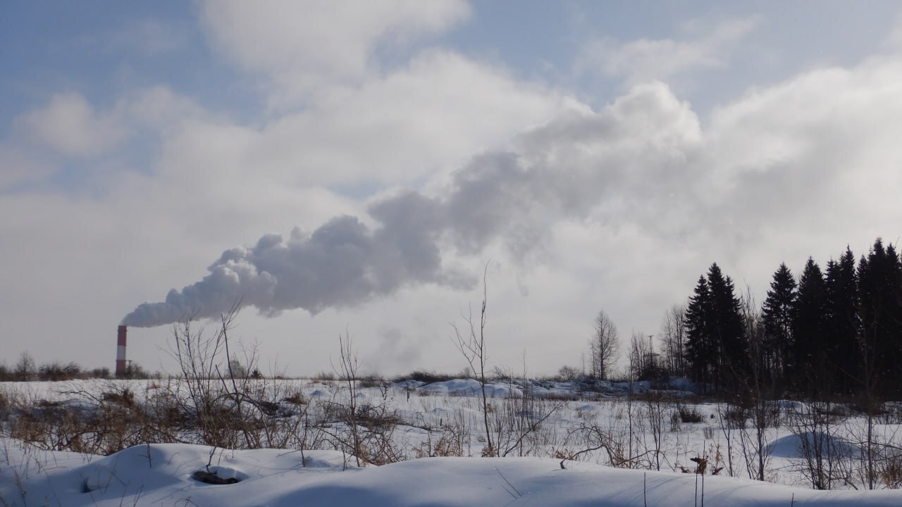 V — значит ванадий: мазутные ТЭЦ оставили токсичный след в городских озерах Севера России