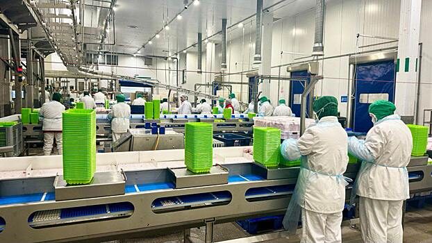 Калужская область начала экспорт куриных субпродуктов в Китай