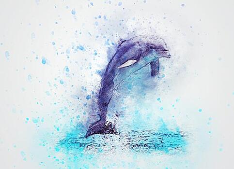 На Кубани пытаются освободить краснокнижного дельфина