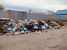 Забайкальцу назначали штраф за несанкционированную свалку