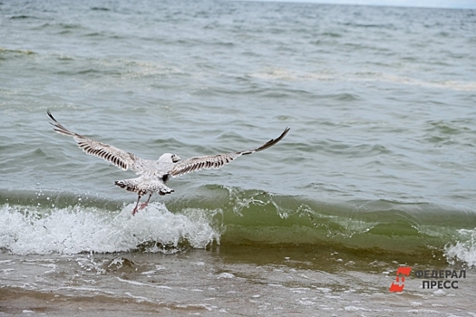 Донбасские мастера создали символы новых регионов для кованой карты России в Крыму