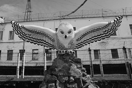 Без права на свободу: как сидят «смертники» в колонии «Полярная сова»