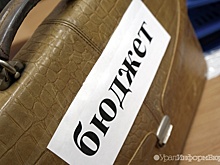 Депутаты свердловского ЗакСо раскритиковали бюджетные траты