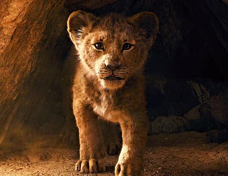 «Оригинал — лучше!»: почему многим зрителям не понравился новый «Король Лев»