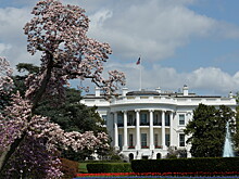 Американцы назвали виновников шатдауна в США