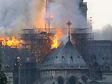 Стало известно будущее Собора Парижской Богоматери