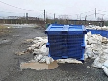 Запах гнилой рыбы окутал салехардцев