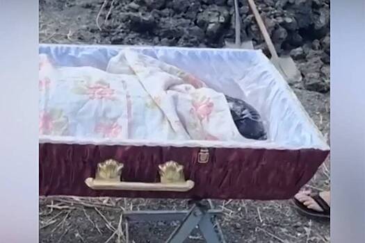Появились детали возмутивших родственников похорон голого ветерана СВО с пакетом на голове
