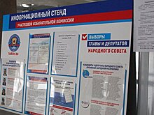 В ЛНР объяснили, почему выборы в Донбассе не противоречат "Минску-2"