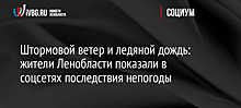 Штормовой ветер и ледяной дождь: жители Ленобласти показали в соцсетях последствия непогоды