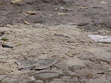 Жители Ударной починили дорогу подручными материалами