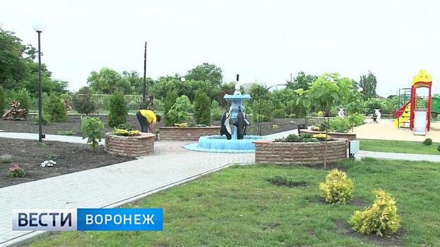 За благоустройство общественных пространств и президента воронежцы проголосуют в один день