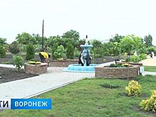 За благоустройство общественных пространств и президента воронежцы проголосуют в один день