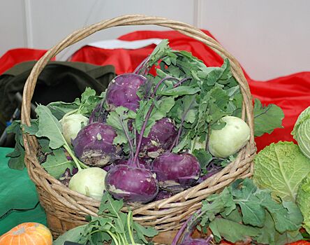 ЧМ-2018 вызвал подорожание овощей и фруктов в Нижнем Новгороде