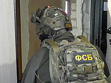 В отношении жителя Алтайского края возбудили дело за экстремизм