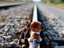 Грузовой поезд в Приангарье сбил десятилетнего мальчика