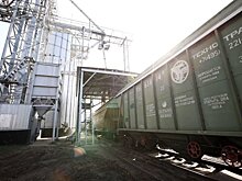 В Ульяновской области нарастят мощности для экспорта продукции АПК