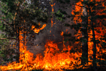 В очередном районе Приангарья ввели режим ЧС из-за лесных пожаров