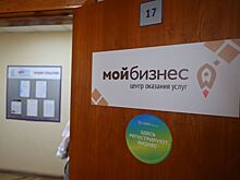 Порядка 20 млн рублей получили предприниматели Дзержинска на поддержку бизнеса в 2022 году