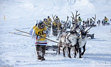 Когда тундра оживает: Якутяне и красноярцы отпраздновали День оленевода
